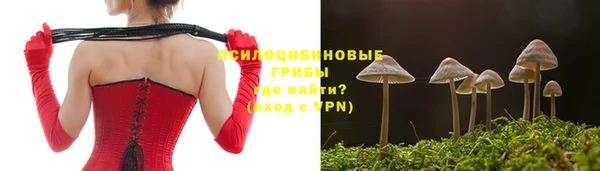 Альфа ПВП Баксан