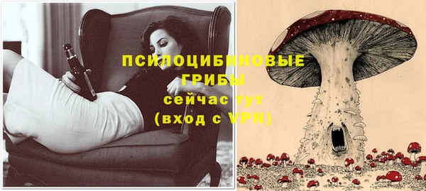 Альфа ПВП Баксан