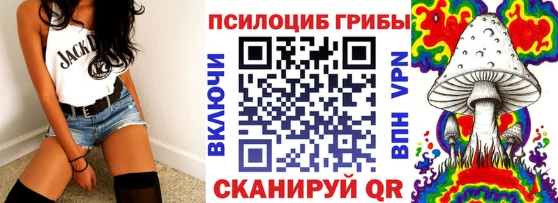 Купить закладки  Инсар  Псилоцибиновые грибы мухоморы 